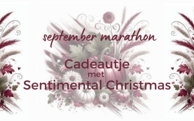 Cadeautje met Sentimental Christmas papier