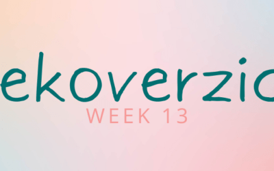 Weekly Update; week 13