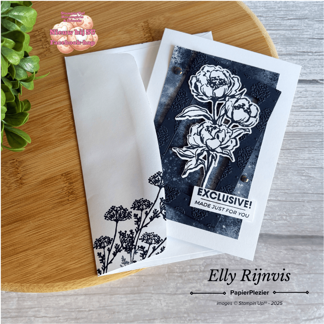 facebookhop ac&online only mei - 3.3 Stampin'Up! Secret Sea
