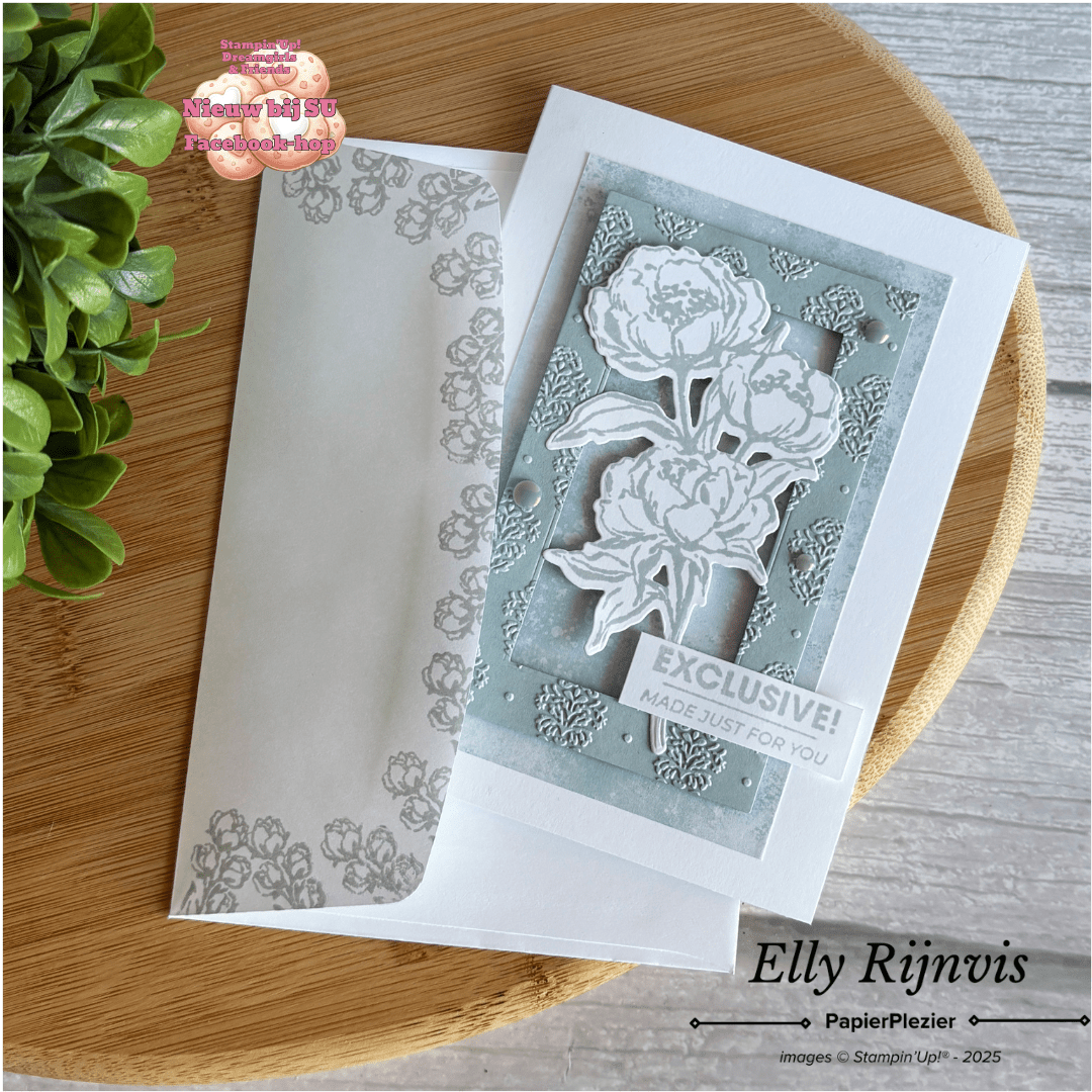 In Colors 2025-2027 Stampin'Up! Cloud Cover