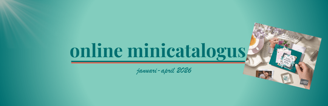 minicatalogus (1080 x 350 px)